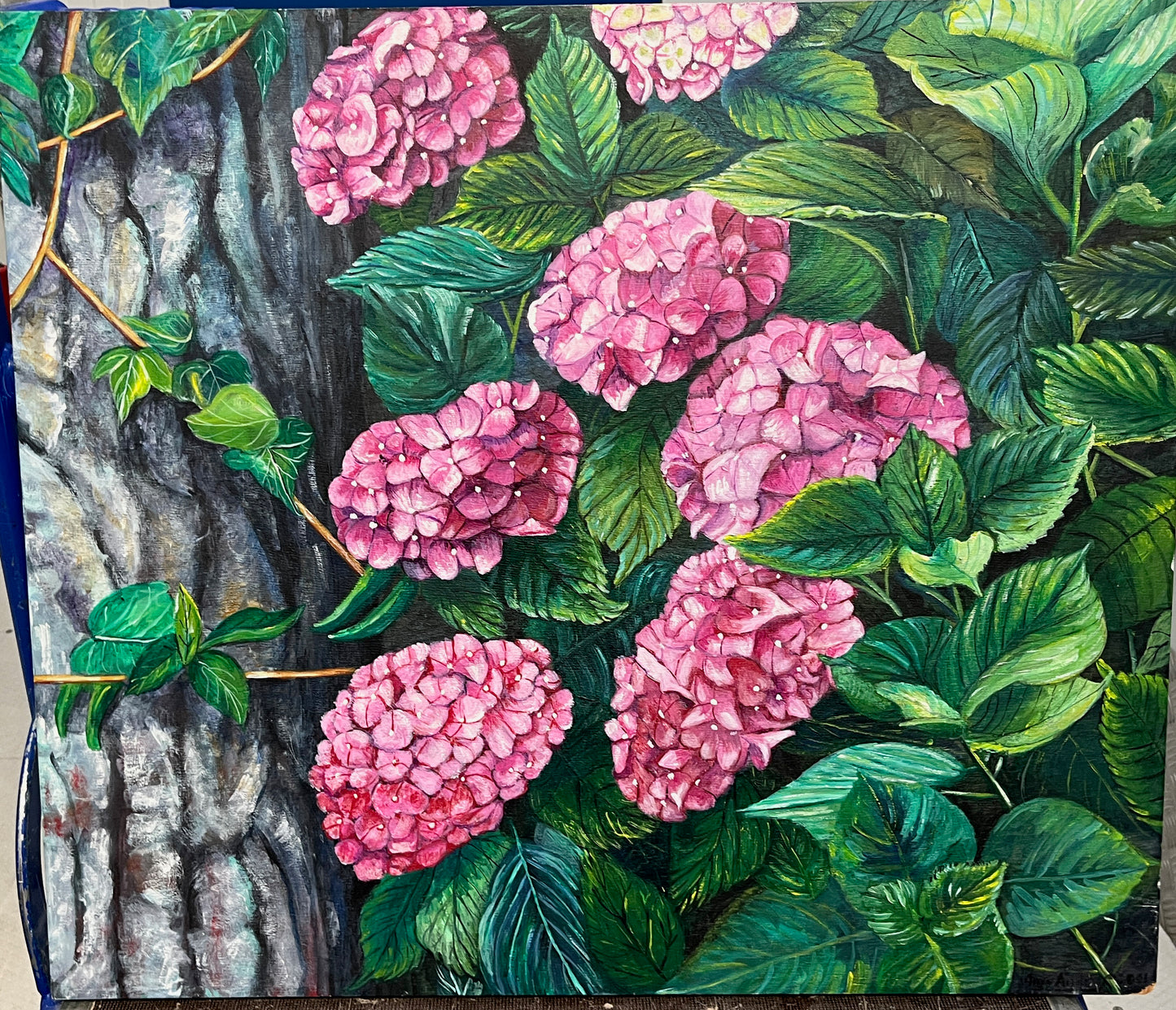 HYDRANGEAS FROM MY GARDEN. ORIGINAL